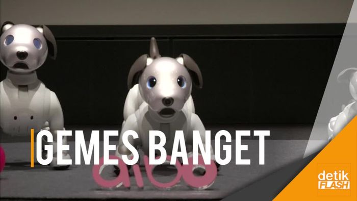 Keren, Ada Robot Anjing Peliharaan