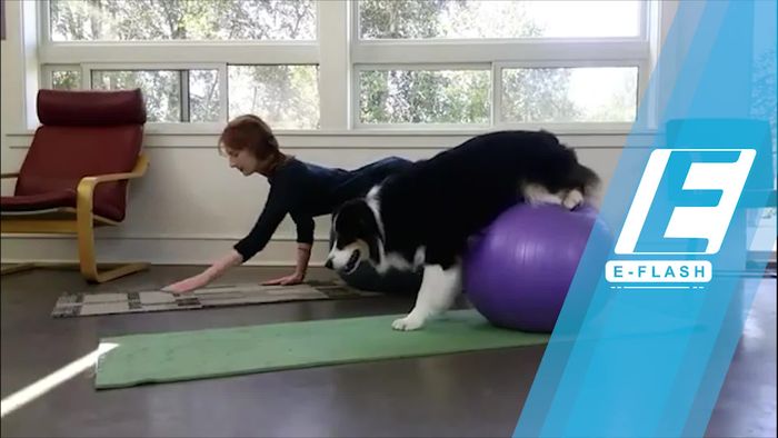 Serunya Yoga Bareng Hewan Kesayangan!