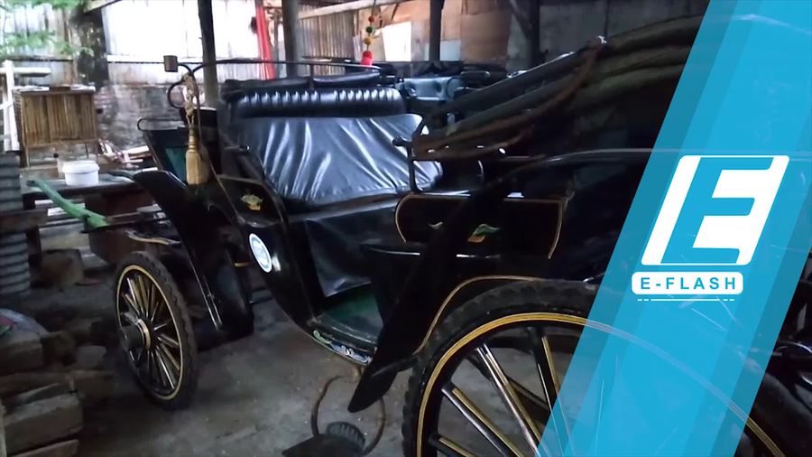 8 Kereta Kuda Dipersiapkan untuk Pernikahan Kahiyang-Bobby