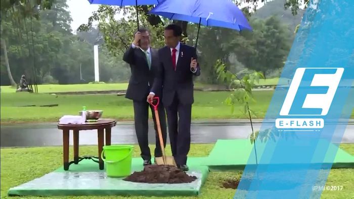 Presiden Korsel Hadiahi Kahiyang Video SHINee dan CD EXO