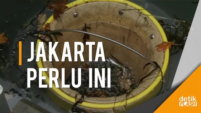 Seabin, Ember Ajaib Pengisap Sampah di Lautan  
