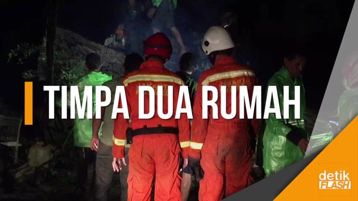 Beringin Besar Timpa Dua Rumah Warga di Kebayoran Lama