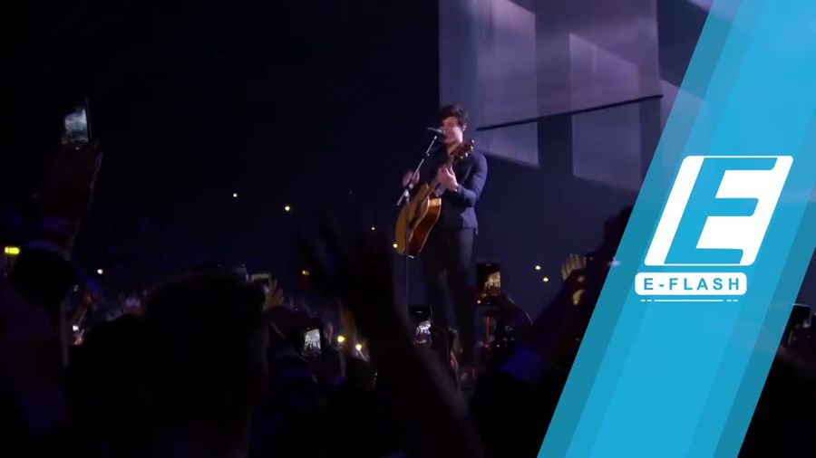 Shawn Mendes hingga Eminem Menang di MTV EMA 2017