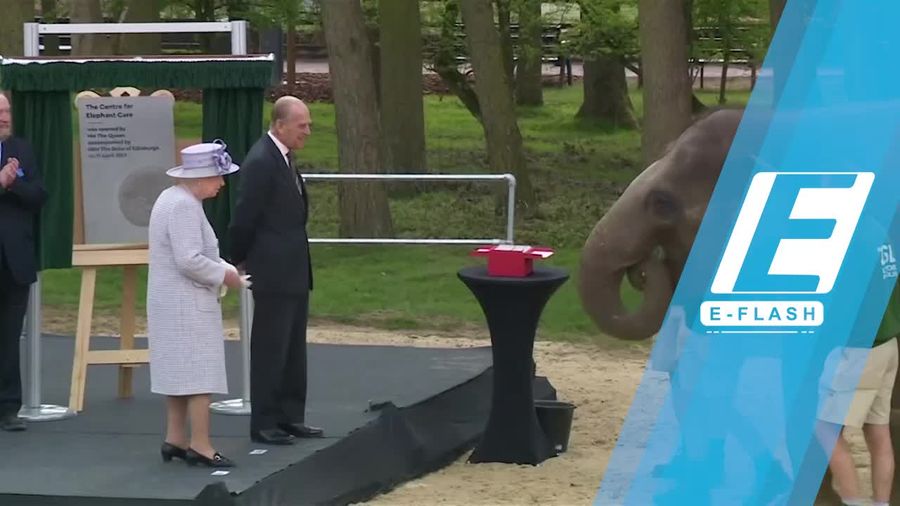Ini Rahasia Awetnya Pernikahan Ratu Elizabeth II dan Pangeran Philip