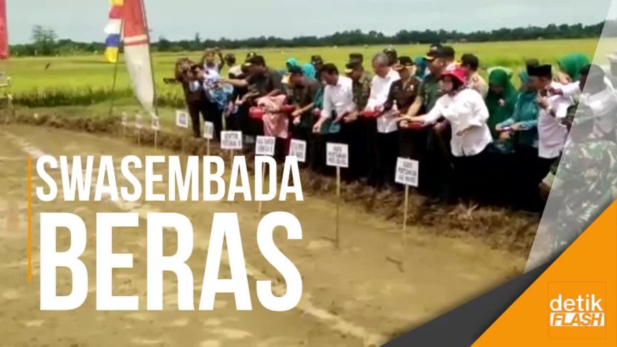 Mentan Panen Raya Padi di Maros