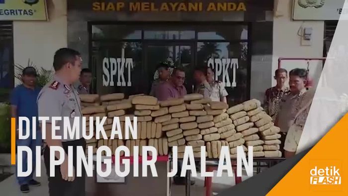 209 Kilogram Ganja Tak Bertuan Ditemukan Petani di Sumut