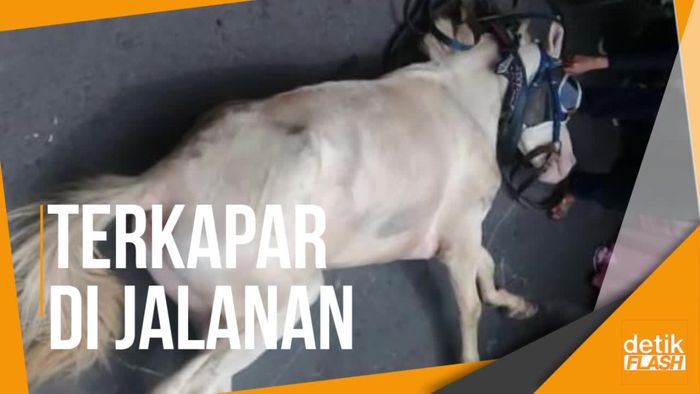Nasib Malang Kuda Delman di Menteng
