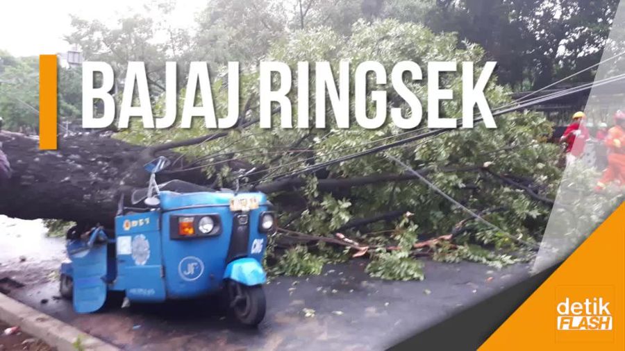 Brakk! Pohon di Samping Istiqlal Tumbang Timpa Bajaj dan Motor