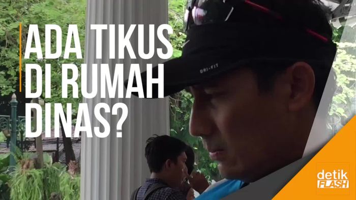 Ada Dana Basmi Hama di Rumah Dinas Anies-Sandi, Banyak Tikus?