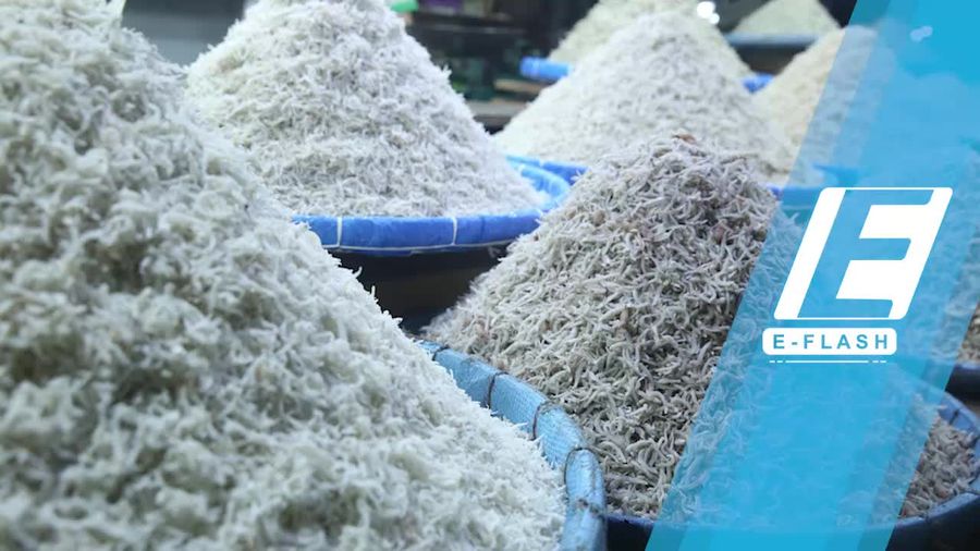 Suka Ikan Asin? Mampir Yuk ke Pajak Central Medan