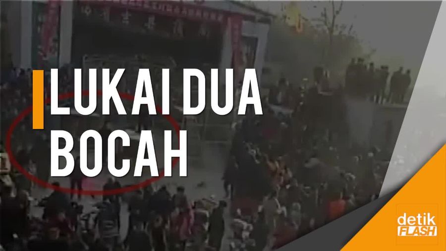 Bikin Panik, Harimau Sirkus Lepas Saat Pertunjukan