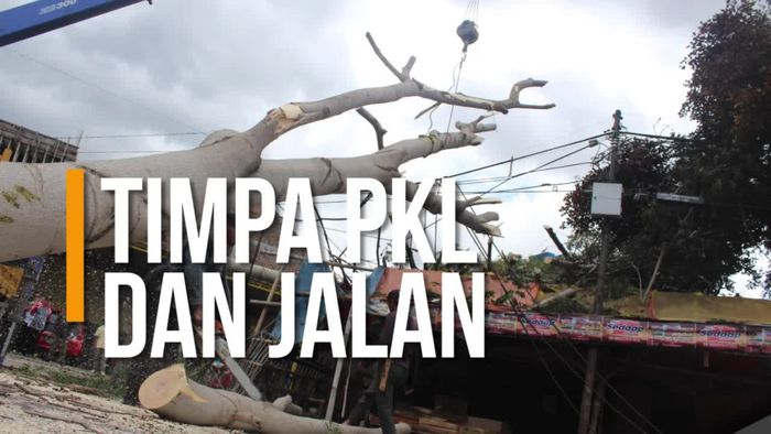 Siklon Dahlia Sapa Garut, 2 Pohon Besar Tumbang