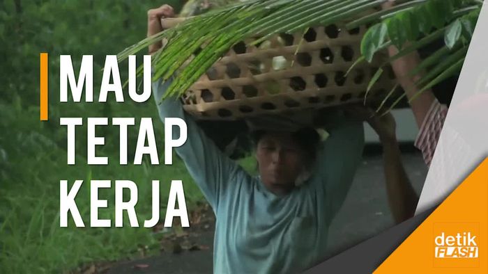 Ribuan Warga Bali Enggan Mengungsi, Ini Alasannya