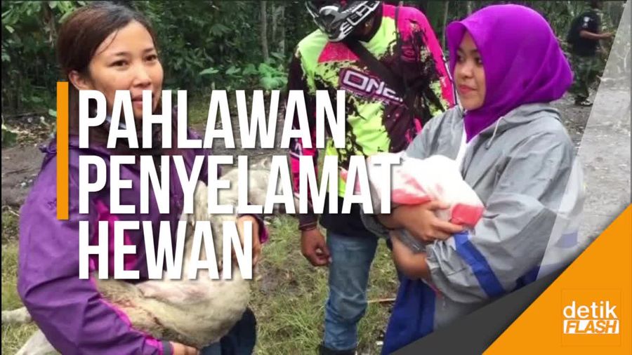 Mereka yang Terlantar di Gunung Agung