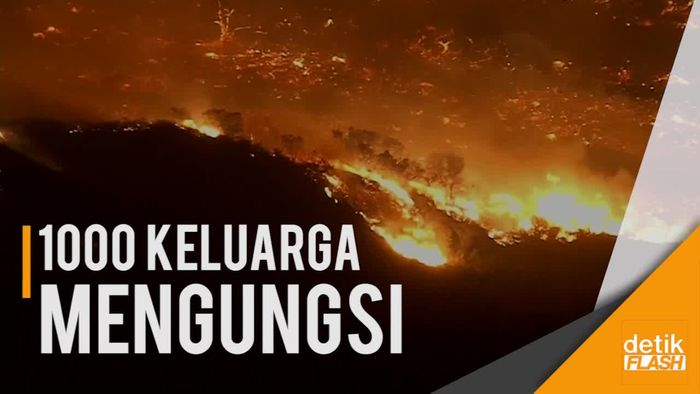Ngeri! Kebakaran Hutan 10.000 Hektar Terjadi di Los Angeles