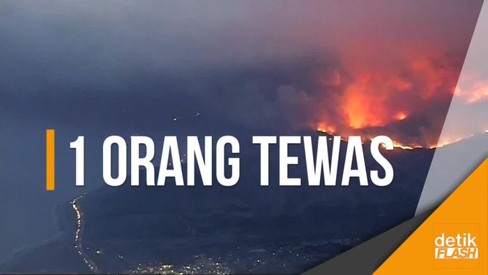 Ganasnya Kebakaran Hutan Hanguskan Ratusan Rumah di California
