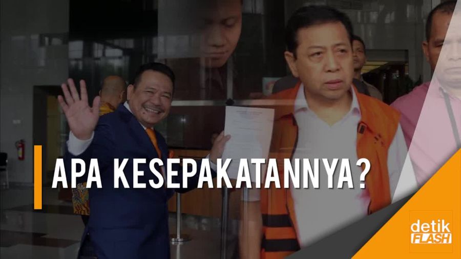Mundur Jadi Pengacara Novanto, Otto: Tak Ada Kesepakatan Jelas  