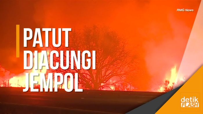 Heroik! Pria Ini Selamatkan Kelinci di Tengah Kebakaran