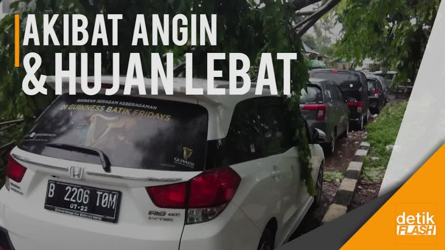 Pohon Tumbang Timpa Sebuah Mobil di Kawasan Pulogadung