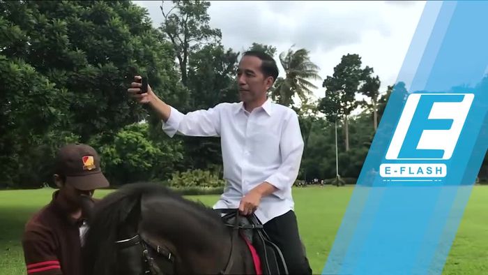 Seperti Apa Sih Aktivitas Presiden Jokowi di Waktu Senggang?