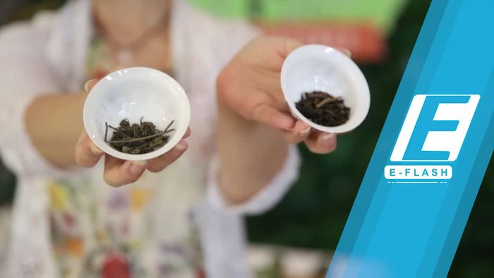 Yuk! Belajar Menyeduh Green Tea dengan Pakar Teh Ratna Soemantri 