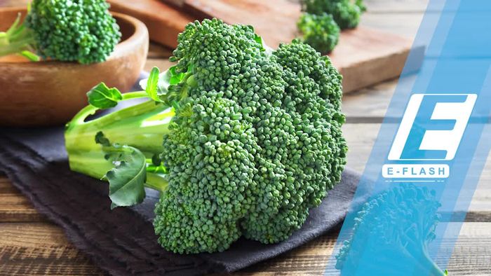 Gemar Makan Sayur Hijau Bisa Bikin Otak Awet Muda Loh!