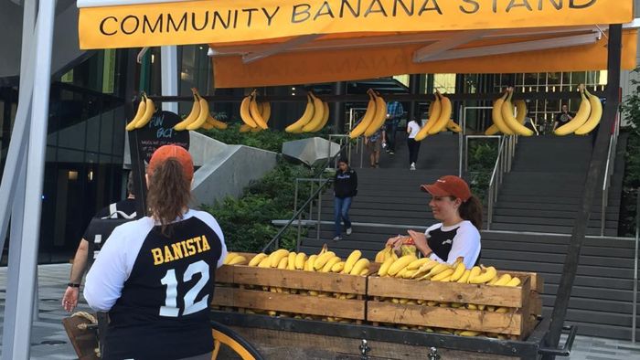 Wow! Amazon Bagikan 8 Ribu Pisang Gratis Tiap Hari