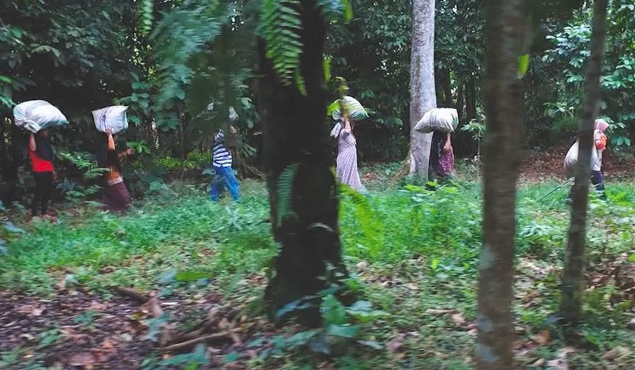 Cara KUBE Mekar Sari Sulap Kampung Jorok Jadi Bersih