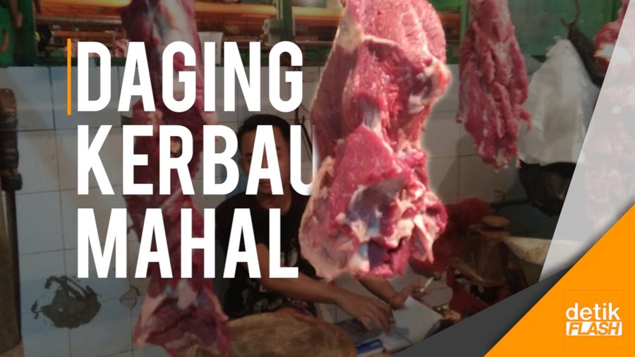 Harga Daging Kerbau Melejit Bikin Menjerit