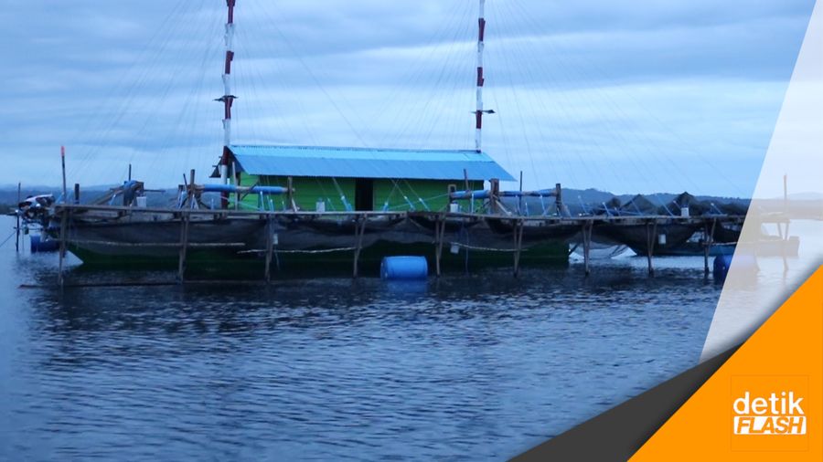 Menjaring Ikan dengan Cahaya Lampu Menjaring Ikan dengan Cahaya Lampu