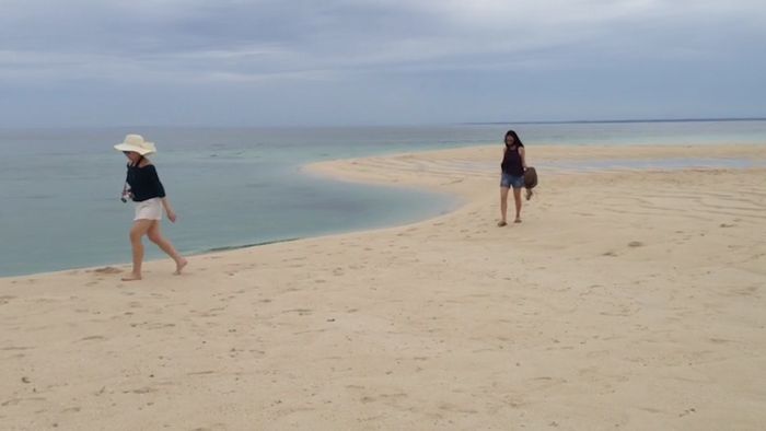 Menikmati Keindahan Pulau Pasir Sanggalau