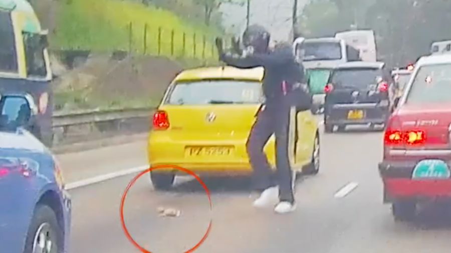 Menyentuh! Video Pemotor Selamatkan Anak Kucing