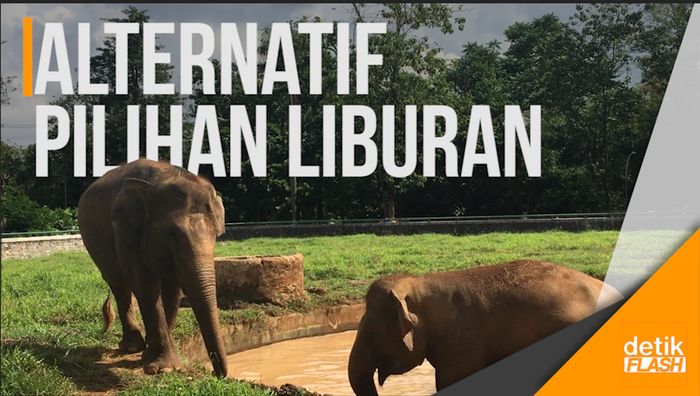 Kebun Binatang Ragunan Ramai Didatangi Wisatawan