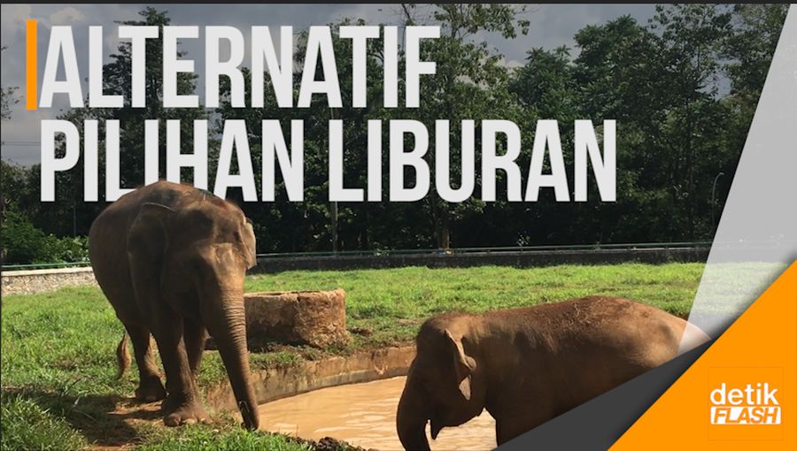 Kebun Binatang Ragunan Ramai Didatangi Wisatawan