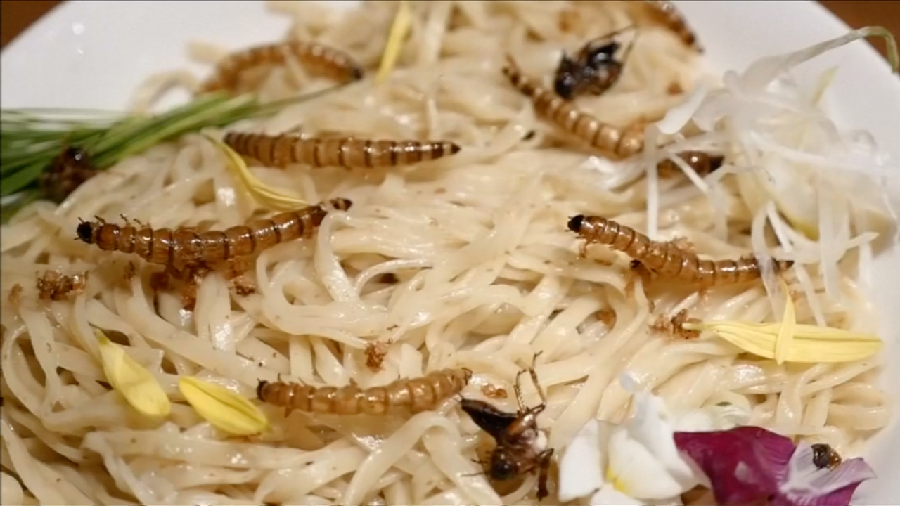 Hiii! Ada Ramen dengan Toping Jangkrik dan Cacing