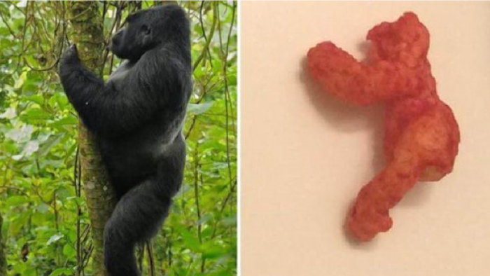 Gokil! Satu Keping Cheetos Seharga Rp 1,3 Miliar