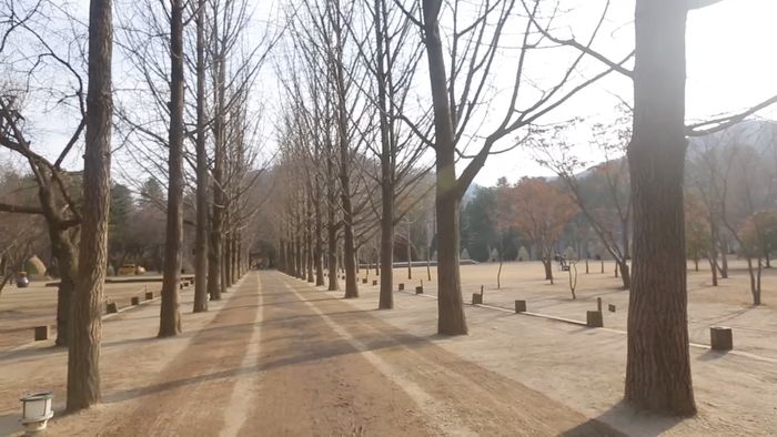 Jalan-jalan ke Tempat Syuting Winter Sonata di Nami Island Korea
