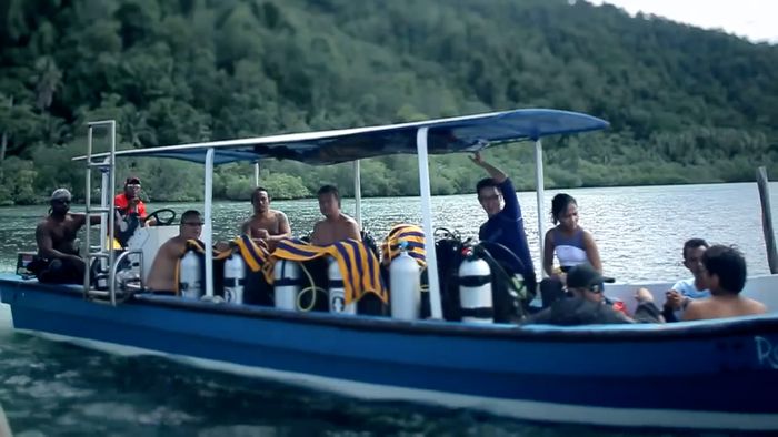 Berikut Ini Beberapa Hal Tentang Diving Yang Wajib Diketahui