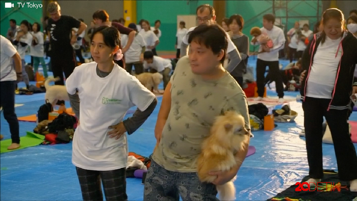 Serunya Yoga Bersama Anjing di Jepang