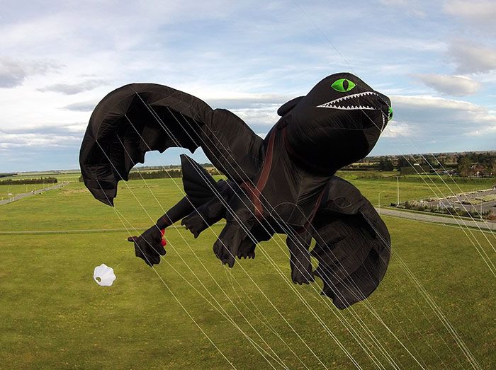 Naga di Film How to Train Your Dragon Jadi Nyata?