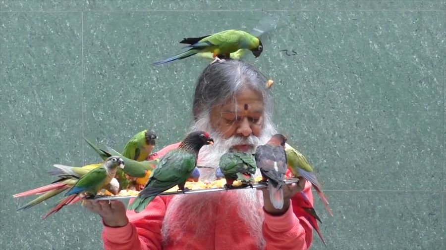 Pria Ini Baktikan Hidupnya untuk Menyelamatkan Burung