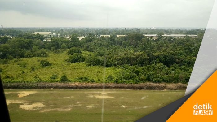 Memburu Illegal Logging di Riau
