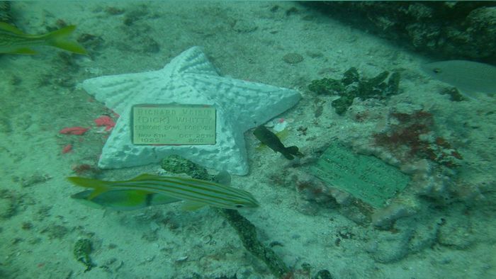 Ada Pemakaman di Bawah Laut, Ini Cara Menguburnya