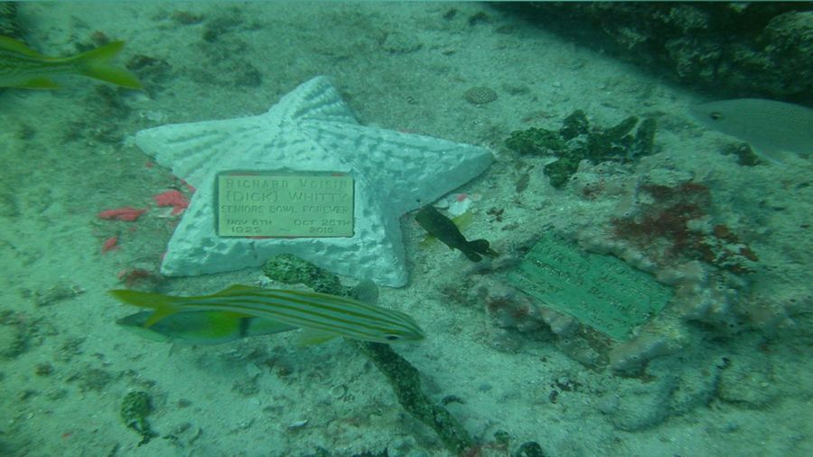 Ada Pemakaman di Bawah Laut, Ini Cara Menguburnya