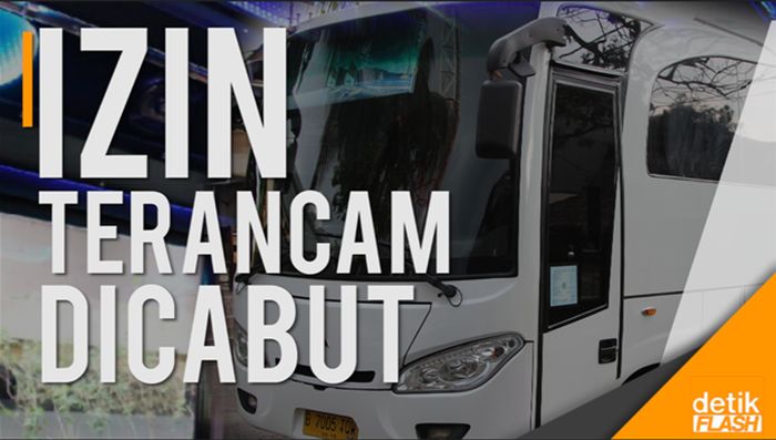 Menhub Soal Bus Party: Kalau Lampaui Batas, Izin Dicabut