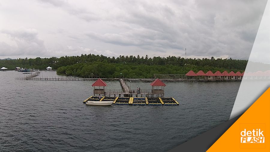 Program Emas Biru untuk Tingkatkan Hasil Nelayan Maluku