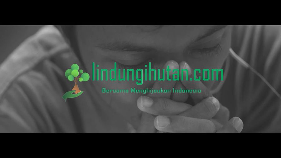 Amplifive - Lindungi Hutan, Bersama Menghijaukan Indonesia