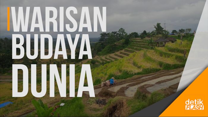 Hari Ketiga di Bali, Obama Singgah ke Terasiring Tabanan