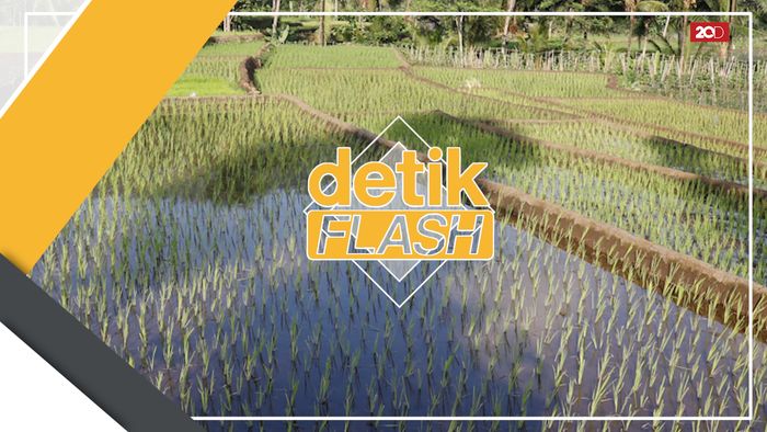 Target Jokowi di Pertanian: Minimal 30.000 Embung Terbangun