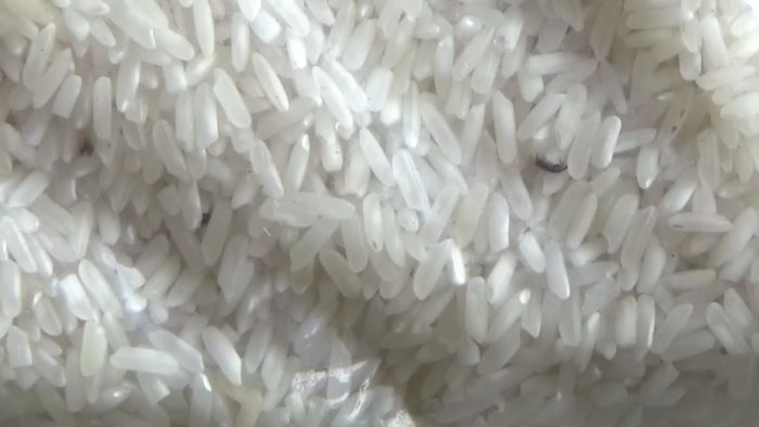 Duh! Beras Murah di PKK Mart Ini Ternyata Kutuan